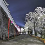 白石城の夜桜も堪能しましょう！